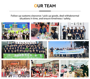 Tehlikeli Maddeler Deniz Taşımacılığı Çin Konsolidasyon Hizmeti 20ft 40ft 40HQ Konteyner Nakliye Acentesi Ücretleri ABD/Kanada - Product Image 5