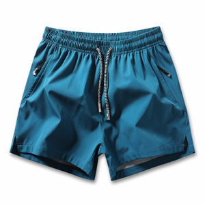 Shorts de sport décontractés pour hommes, écologiques, respirants, à séchage rapide, avec cordon de serrage, poches zippées, couleurs personnalisées, fitness - Product Image 5