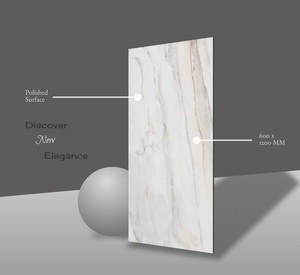 Carreaux en porcelaine émaillée 600x1200mm (24 \ "X48 \") 60x120cm 24x48 Design moderne polyvalent pour les fonctions de brique réfractaire - Product Image 2