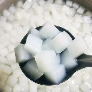 Nata de coco糖浆大小越南原料，使您的零食更具吸引力和特色玛丽