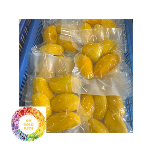 Fruits surgelés de qualité supérieure mangue lyophilisée du Vietnam grande valeur nutritive processus IQF tranche de cube de mangue emballée en vrac - Product Image 5