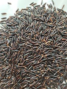 Rise Riso Arroz Riz Negro Glutinoso Púrpura y Marrón de RIZ NOIR Alta Calidad de VILACONIC VENTA AL POR MAYOR/ANNA DO VILA - Product Image 2