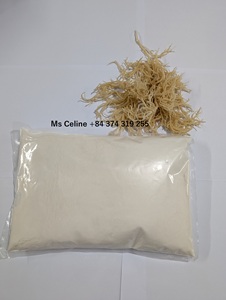 POLVO DE SEAMOSS/POLVO DE SEAMOSS IRLANDÉS/POLVO DE CARRAGEEN LISTO PARA EXPORTAR A GRANEL - Product Image 4