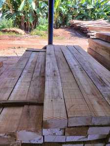 ไม้สักไม้ซุงไม้ได้รับการรับรองสำหรับการผลิต - Product Image 5