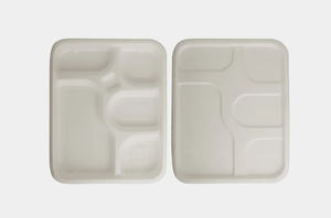 Meilleures assiettes biodégradables en canne à sucre, assiettes jetables étanches pour les barbecues, les buffets et les événements d'entreprise - Product Image 6