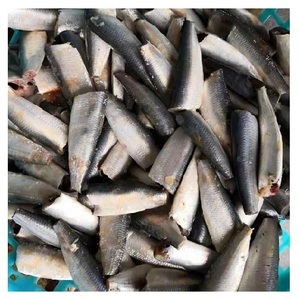 Poisson sardine surgelé HGT de qualité supérieure - Product Image 1