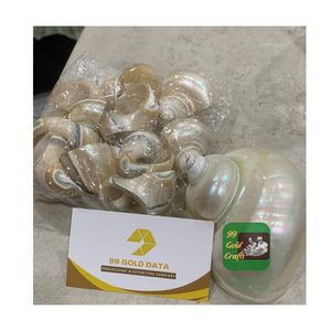 Servilletero de concha marina natural hecho a mano en Vietnam decoración de mesa para banquete fiesta boda hogar comedor uso - Product Image 6