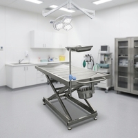 Table d'opération vétérinaire électrique en acier inoxydable 304, lit de chirurgie pour animaux de petite taille pour hôpital vétérinaire, pédale ACS02