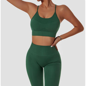 2025 ropa deportiva sin costuras para mujer, mallas de entrenamiento de secado rápido, ropa deportiva, sujetador de gimnasio de talla grande, conjuntos de Yoga y Fitness - Product Image 2