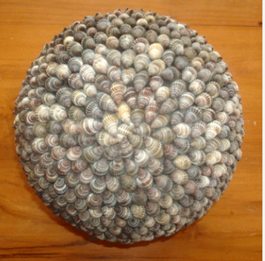 Bola de Concha, Joyería de Concha Marina, 23 cm, Natural Pulida, Decoración para el Hogar con Estilo Náutico y Romántico - Product Image 4