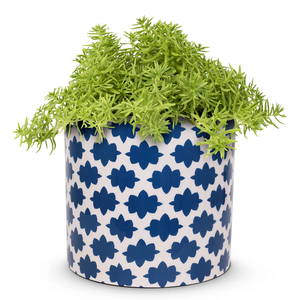 Recién llegado, maceta de hierro para interiores moderna con soporte de latón, maceta de Metal de gran venta para decoraciones de sala de estar y jardín - Product Image 3