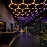 Iluminación Interior Moderna para Gimnasio, Resistente a Impactos, con Diseño de Panal de Abeja, para Decoración de Estudio de Fitness - 7