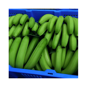 BON PRIX FRESH GREEN BANANA CAVENDISH VIETNAMIEN FRUITS FRAIS DE 99GD VIETNAM 2025 - Product Image 1