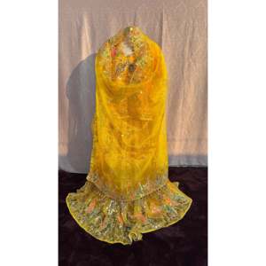 Robes Mehandi élégantes et festives, sari en soie georgette brodé, robe pakistanaise, salwar kameez, Banarasi, achat en ligne - Product Image 2