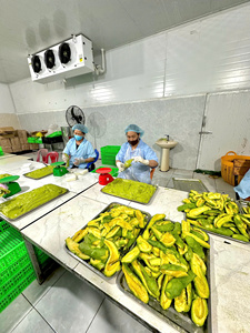 Venta al por mayor de aguacate congelado de Vietnam 100% fuente fresca y natural excelente para mercados conscientes de la salud - Product Image 3