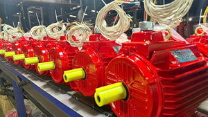 Moteur électrique AC d'usine du Vietnam 50Hz 60Hz moteur asynchrone triphasé boîtier en fonte enroulement de noyau de cuivre en gros - Product Image 5