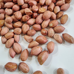 High Quality Spanish Type Whole <strong>Kernel</strong> Raw Peanut Rajasthan Jumbo Size 1kg Factory Price Grade a Vacuum Packed Quality Tested - Product Image 2
