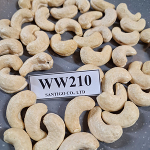 Kaju WW210มะม่วงหิมพานต์ถั่วแซนติโกและเมล็ดแห้ง - Product Image 1