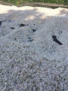 เกล็ดปลาแห้งจากปลานิล/ปลาช่อนจากเวียดนาม - Product Image 3