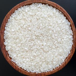 ข้าวญี่ปุ่นญี่ปุ่นบาสมาติกแบบยาวและสั้นซูชิแห้งข้าวจากเวียดนามผู้ผลิต-WS: + 84-915355383 - Product Image 4