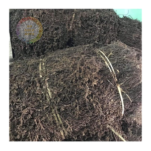 เยลลี่หญ้าแห้งสำหรับเครื่องดื่มฤดูร้อน-ส่วนผสมบริสุทธิ์และเป็นธรรมชาติสำหรับแบรนด์เครื่องดื่มและธุรกิจส่งออก - Product Image 1