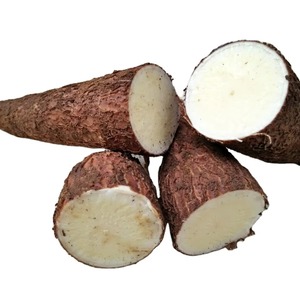 Calidad Premium, alta calidad, yuca fresca congelada, Bélgica, precio competitivo de fábrica, variedad de Topioca pelada, 3,7 cm, tamaño 25kg, paquete - Product Image 6