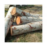 Bûches de bois d'eucalyptus brut de bonne qualité Bûches de bois brutes rondes et carrées Exportation en vrac au prix de gros