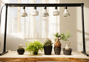 พัดลมไฟฟ้าพร้อม3D พิมพ์โลโก้รูปแบบการติดตั้งเพดานเครื่องใช้ไฟฟ้า aechmea - Product Image 2