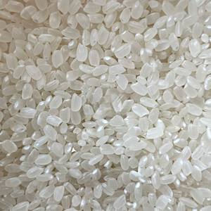 Arroz Japonés de Alta Calidad, Saludable, 100% Natural, Blanco, de Grano Corto, para Sushi - Product Image 3