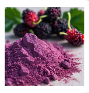 Poudre de mûrier séchée par atomisation certifiée biologique et naturelle, colorant alimentaire sain de qualité alimentaire, additifs alimentaires, prix de gros Herbojit - Product Image 4