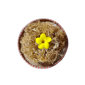 Natural Best Quality High Quality <b>Dried</b> Eucheuma Cottonii Seaweed From Vietnam 100% Natural 2024 - Product Image 1