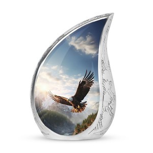 โกศบรรจุอัฐิรูปนกอินทรีบินในหุบเขาขนาดใหญ่ - Product Image 1