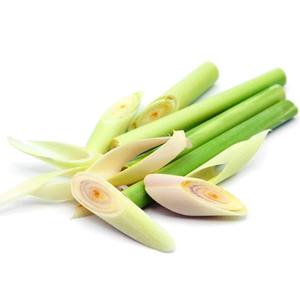 Tiges de citronnelle congelées de qualité supérieure au meilleur prix pour la vente en gros de citronnelle du Vietnam - Product Image 1