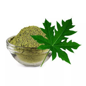 Poudre de feuille de papaye biologique de qualité supérieure en gros poudre de feuilles de papaye naturelle pour l'exportation du Vietnam - Product Image 1