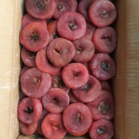 Groothandel Premium Gedroogde Persimmon Zoete Traditionele Snack Puur Natuurlijk Diospyros Kaki Fruit