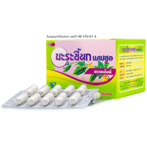 Cápsulas de melón amargo salvaje 500 mg (marca KMP) 100 cápsulas/caja Producto herbal de grado alimenticio saludable de alta calidad de Tailandia - Product Image 1