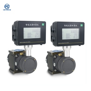 Korozyona Dayanıklı Gıda Sınıfı Gaz Akış Ölçer, Karbon Dioksit Ölçümü, Hidrojen Yakıt Hücresi Gaz Akışı İzleme için - Product Image 1