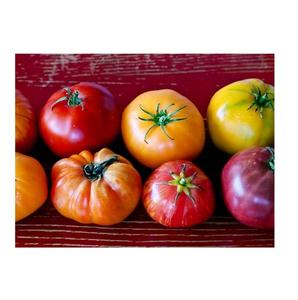 Tomates cerises rouges de ferme biologiques fraîches et bon marché pour l'exportation, vente en gros, approvisionnement rapide - Product Image 5