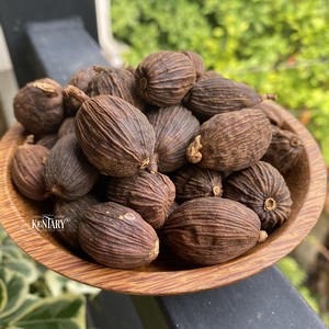 สมุนไพรสำหรับอาหารรสเลิศเมล็ดกระวานดำเครื่องเทศเดียวมีกลิ่นหอมส่งตรงจากเวียดนาม - Product Image 5