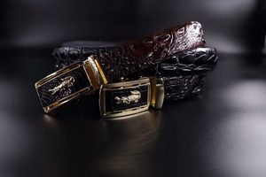 เข็มขัดหนังจระเข้แท้ผู้ชายยาว115-120ซม. เข็มขัดหรูพร้อมโลหะผสม - Product Image 5