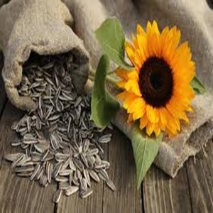 Prix d'usine Graines de tournesol de qualité alimentaire disponibles pour l'exportation dans le monde entier - Product Image 5