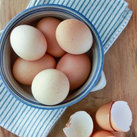 Œufs de poulet de chair Cobb 500, fécondés, frais, blancs et bruns, à haute teneur en protéines, style conservé, à vendre