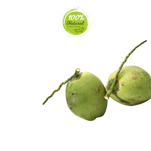 Le goût ultime de la noix de coco fraîche du Vietnam - Product Image 2