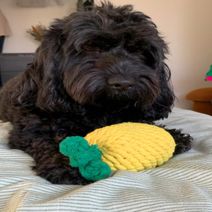Jouet à mâcher en forme d'ananas de grande taille Monli pour animaux de compagnie, jouet en corde durable pour chiens et chats - Product Image 3