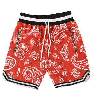 100% polyester entièrement sublimation unisexe basket-ball personnalisé hommes maille Shorts Double couche maille Shorts avec poches - Product Image 3