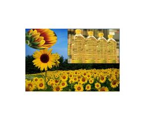 Girasol crudo y refinado a granel más vendido 100% Girasol puro - Product Image 2