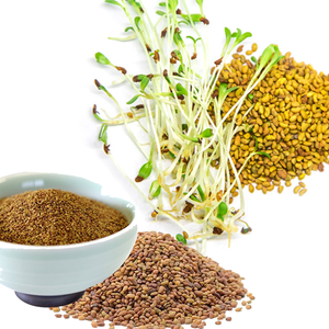 Luzerne | Meilleur choix de fourrage pour les climats froids et chauds - Product Image 4