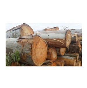 Bûches rondes en bois d'eucalyptus, qualité supérieure - Product Image 4