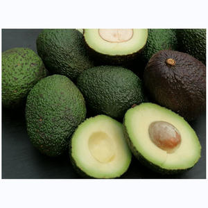 AGUACATE FRESCO de ALTA CALIDAD y MEJOR PRECIO - Product Image 6