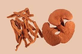 Seta Reishi en rodajas de alta calidad con el mejor precio para toda la venta hecha en Vietnam - Product Image 4